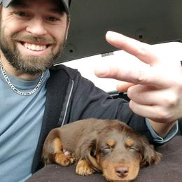 Dachshund Puppies from Honey Creek Doxies