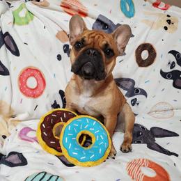 French Bulldog Puppies from Legend French Bulldogs