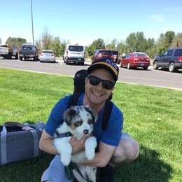 Australian Shepherd Puppies from Toni Thompson's Australian Shepherds