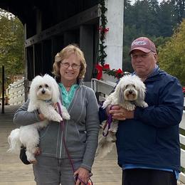 Cotons de Tulear from Gidget Cotons - ACC