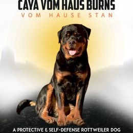 Maya - Rottweiler