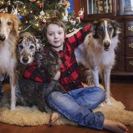 Mudis and Silken Windhounds from Oak & Soul (Oak Creek) Silken Windhounds and Mudi