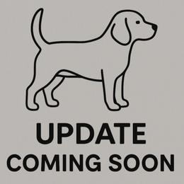 Coral - Black white and tan female Beagle puppy in Rose Bud, Arkansas from Rajun Cajun Kennels
