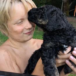 Jägermeister - Black phantom male Aussiedoodle puppy in Yacolt, Washington from Aussiedoodles by Maggie