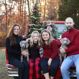 Weimaraner Puppies from So-IN Weimaraner's