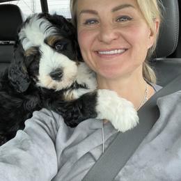 Bernedoodle and Cavapoo Puppies from Wonderful World Doodles