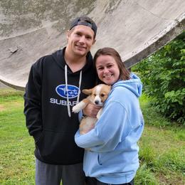 Boy 4 - Red male Pembroke Welsh Corgi puppy in Poplar, Wisconsin from Tshandra Corgis