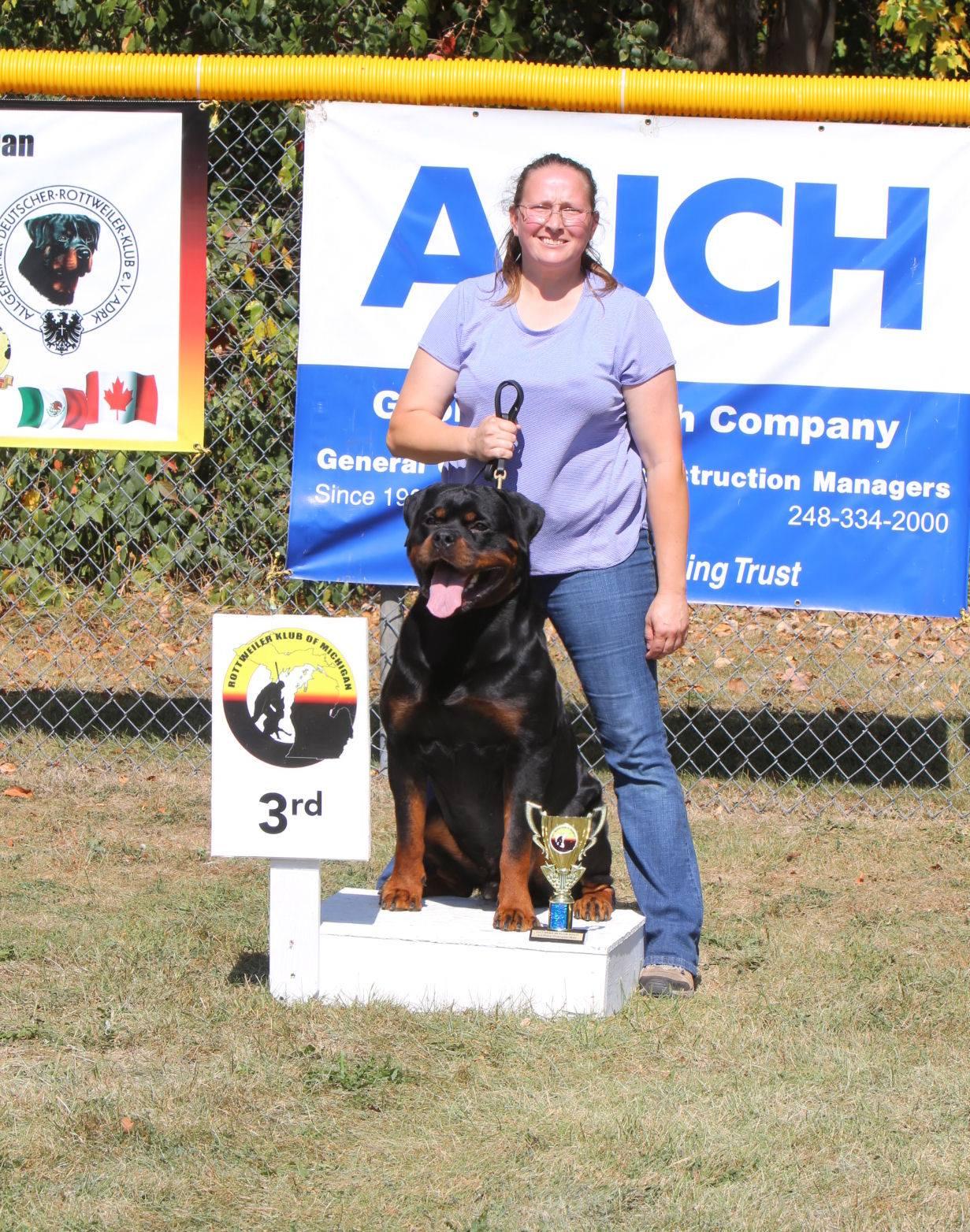 Musikstadt Rottweilers in Tennessee | Rottweiler puppies | Good Dog