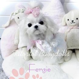 Ferg - Maltese