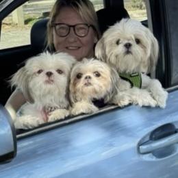 Shih Tzu puppies from Prescious Shih Tzu’s