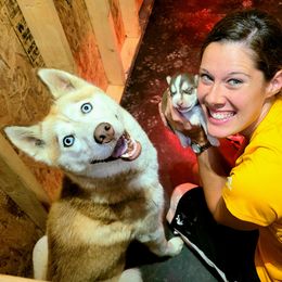Kenai - Siberian Husky