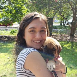 Mastiff and Neapolitan Mastiff Puppies from Sims English Mastiffs