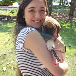 Mastiff and Neapolitan Mastiff Puppies from Sims English Mastiffs