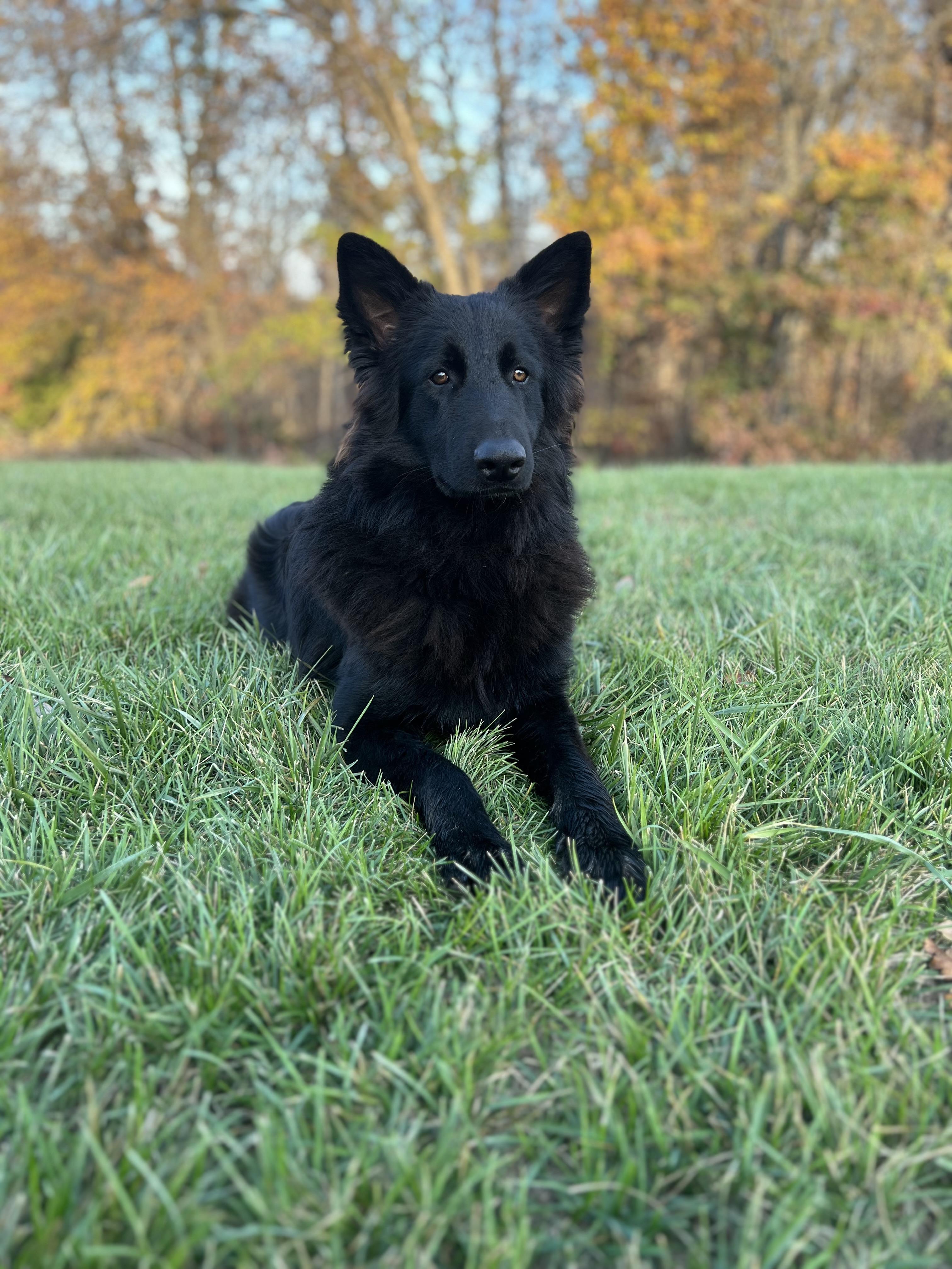 Salem