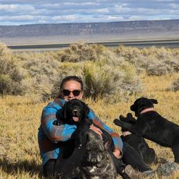 Anatolian Shepherd Dog and Labrador Retriever Puppies from Learning With Dogs