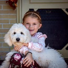 Bernedoodle and Goldendoodle Puppies from Dawg'on Doodles