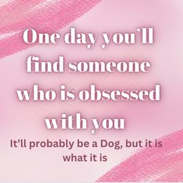 Miniature Schnauzer Puppies from Sugarbaby Kennel