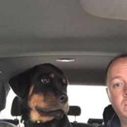 Rottweiler Puppies from Von Schonen Rottweilers