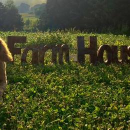 Goldendoodles from Lane Doodles and Poodles