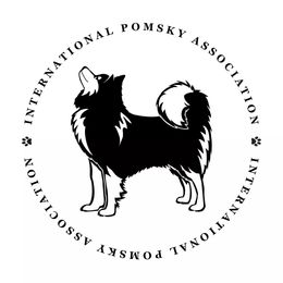 Pomsky Puppies from Paw-lenty of Pomskies