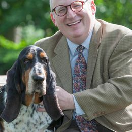 Basset Hound All Grown Up from Renaissance Bassets