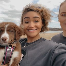 Australian Shepherd Puppies from Augusta Aussies