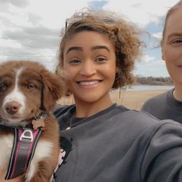 Australian Shepherd Puppies from Augusta Aussies