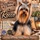 Little man Rocco