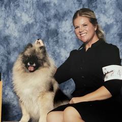 Keeshonden from SummerMist Keeshond