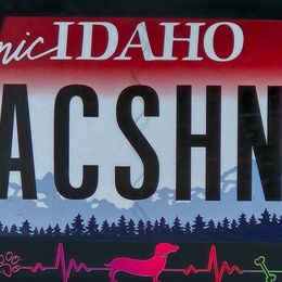Dachshunds from Idaho Dachshunds