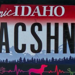 Dachshunds from Idaho Dachshunds