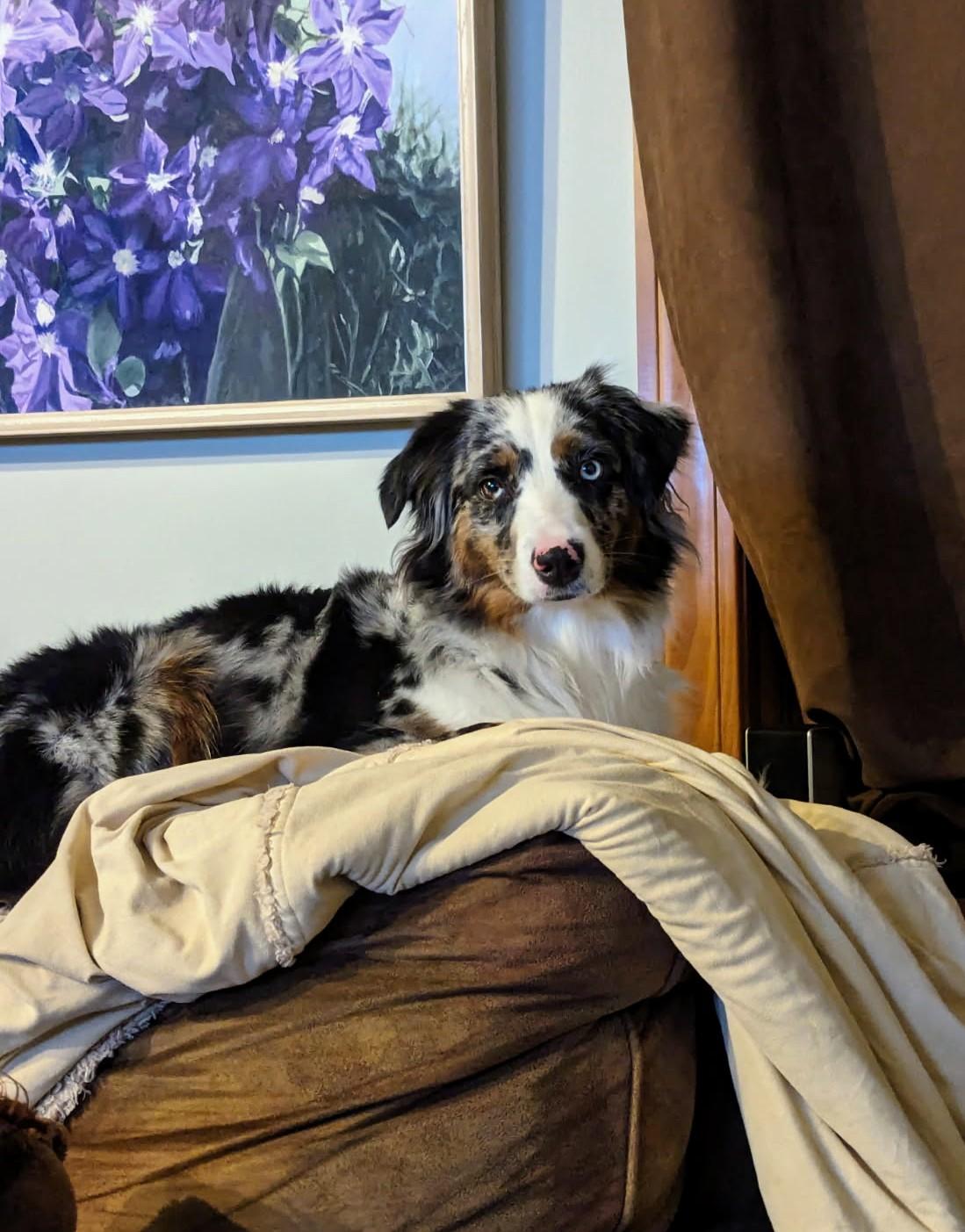 Sierra