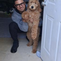 Forest - Cream male Goldendoodle puppy in Knoxville, Tennessee from Kokoh Doodles