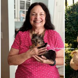French Bulldogs and Yorkshire Terriers from Twinkle Paws Frenchies and Yorkies