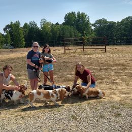 Basset Hound Puppies from Redbud Ranch Basset Hounds