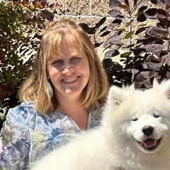 Samoyed Puppies from Dream Samoyeds