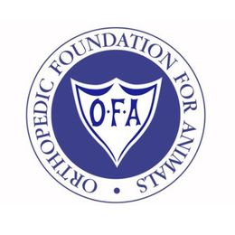 Goldendoodle Puppies from Dean Doodles