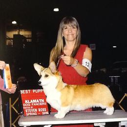 Breezie  - Pembroke Welsh Corgi