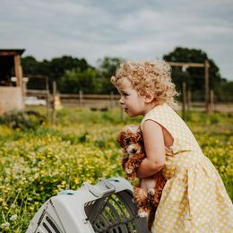Aussiedoodle and Goldendoodle Puppies from Hot Springs Kennels