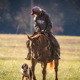 Border Collies from Oak Hollar Farm