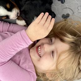 Bernese Mountain Dog Puppies from Bluffside Berners