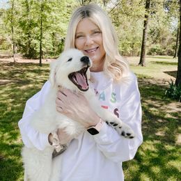 Golden Retriever Puppies from Claiborne Golden