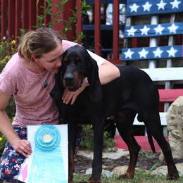 Black and Tan Coonhounds and Pointers from Oldtown Hounds & Pointers