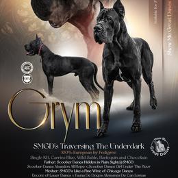 Grym - Great Dane