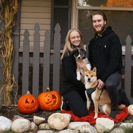 Miniature Australian Shepherd and Toy Australian Shepherd Puppies from Pawesome Lil Aussies