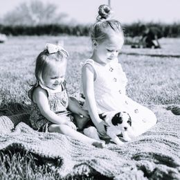 Bernedoodle Puppies from Sleepy Hollow Acres