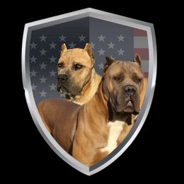 Elektra - Cane Corso