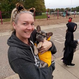 French Bulldog Puppies from Jessicah's Frenchies Michigan's French Bulldog Breeder