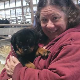 Rottweiler Puppies from Bella Bowe Champion Import Rottweilers