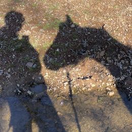 Dachshunds from AJMT Ranch